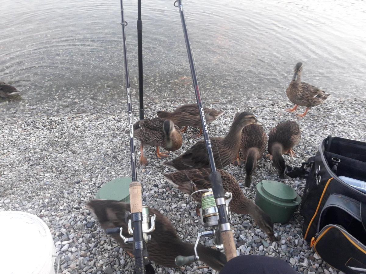 Wildente Am See Maishofen Eksteriør bilde